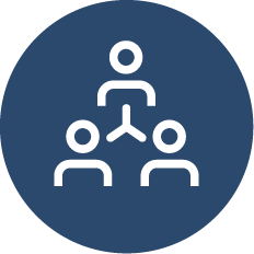 Organize internal processes