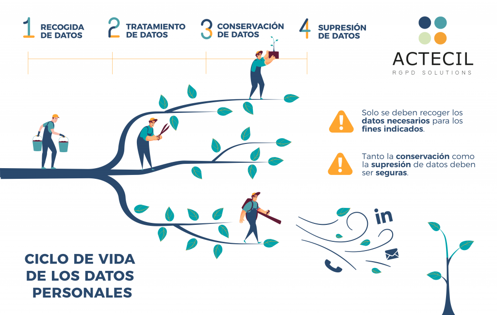 ¡Descubre el ciclo de vida de los datos personales!